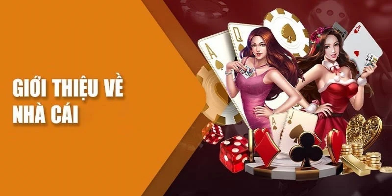 Cam kết của nhà cái dành cho người tham gia